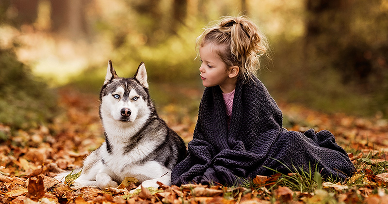 Hundecoaching - Ziele